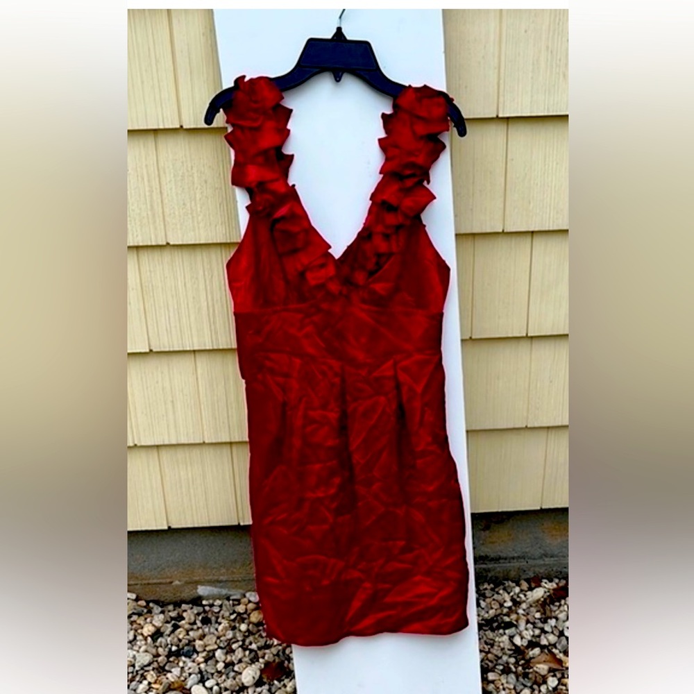 BCBG Maxazria Silk Red Dress